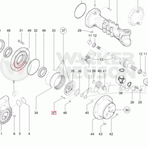 Szpilka osi DW Kramer 1000105899