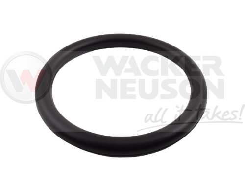 O-ring BPU 5000018194 / 0018194