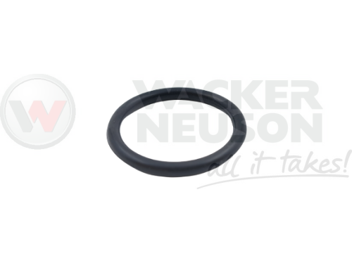 Oring tłoczka sterowania BPU DPU PIR 5002006991 / 2006991