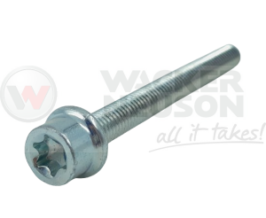 Śruba cylindra WM80 5000095917